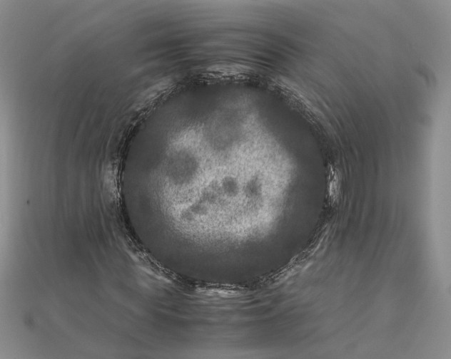 X0000111840819200908061251