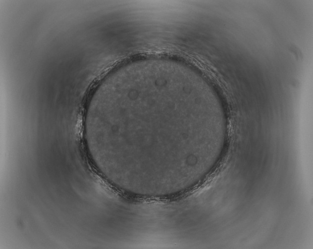 X0000111840820200908061251