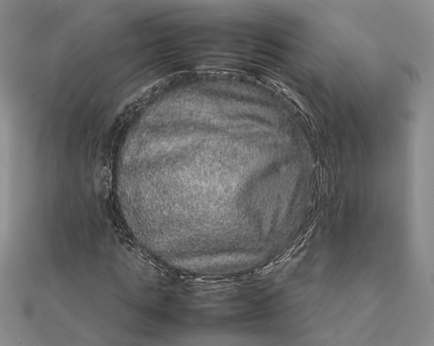 X0000111840821200908061252