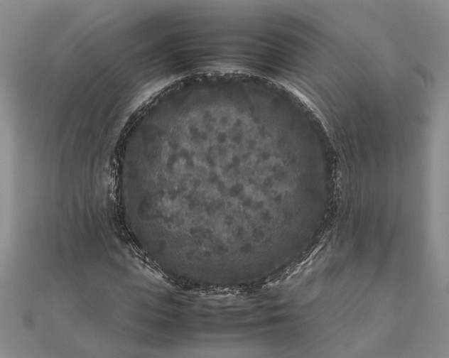 X0000111840823200908061252