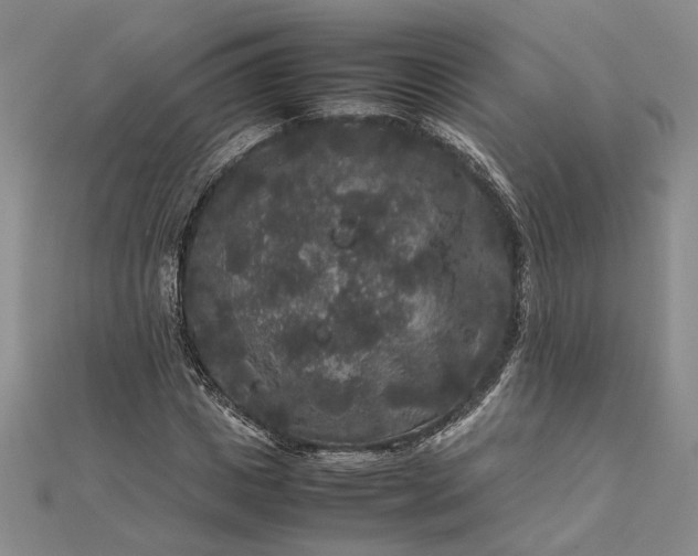 X0000111840825200908061252