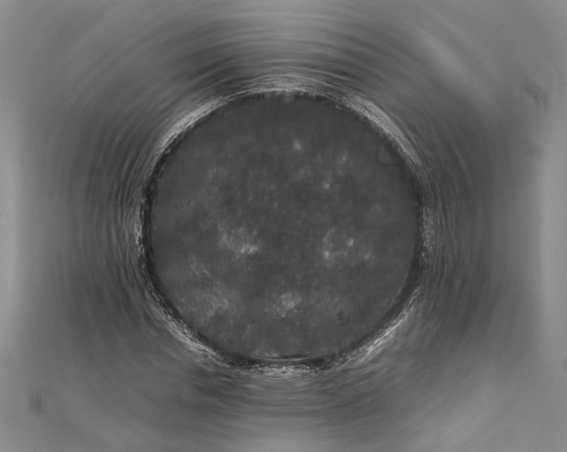 X0000111840826200908061252