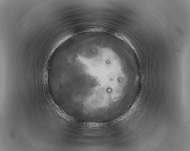 X0000111840827200908061252