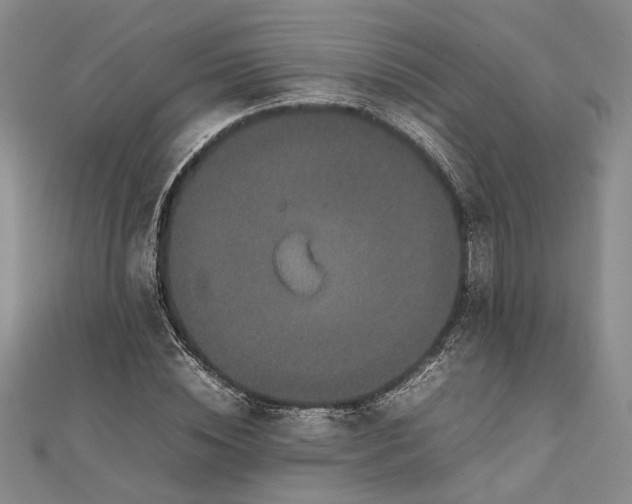 X0000111840828200908061252