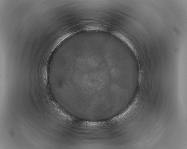 X0000111840829200908061252