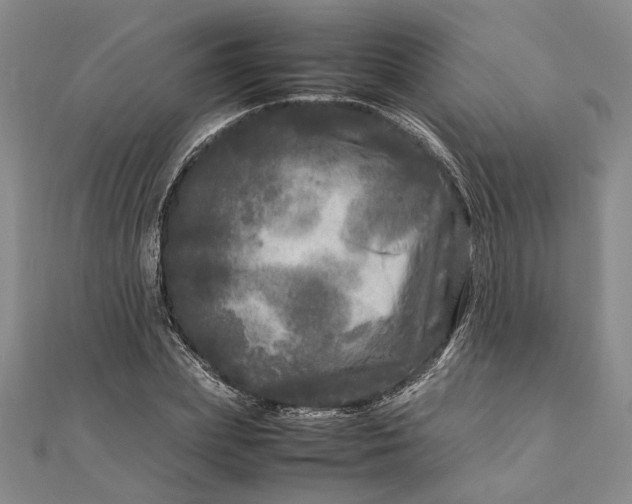 X0000111840831200908061252