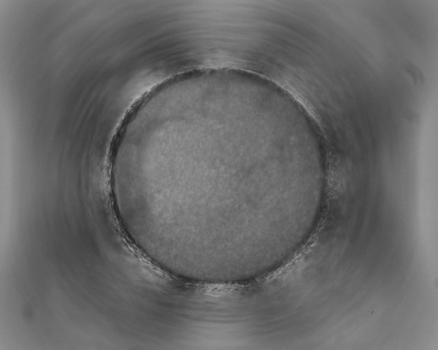 X0000111840832200908061252