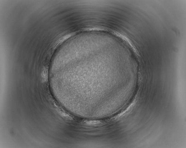 X0000111840833200908061252