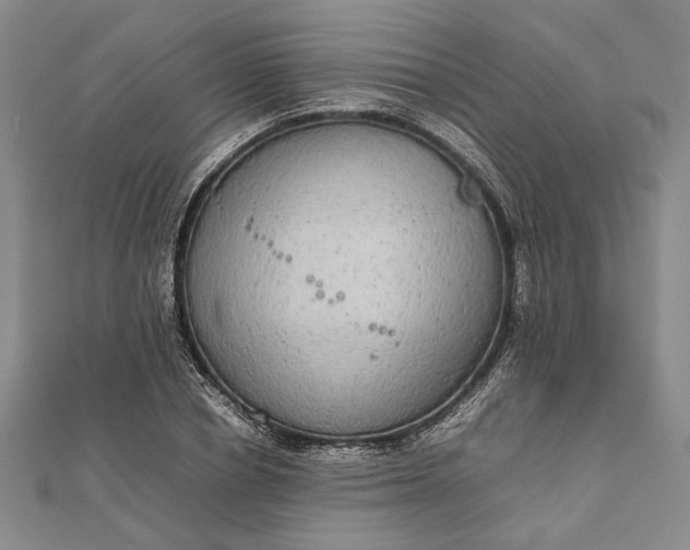 X0000111840834200908061252