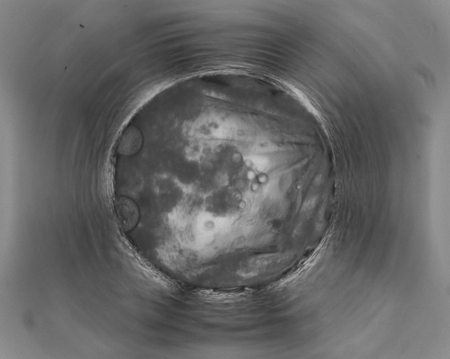 X0000111840835200908061252