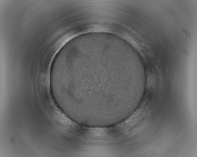 X0000111840836200908061252