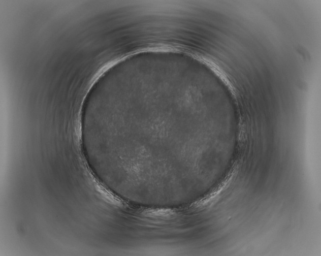 X0000111840837200908061252