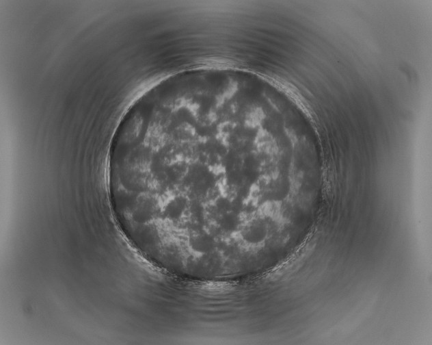 X0000111840839200908061252