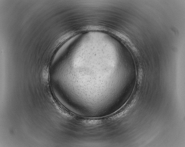 X0000111840841200908061252