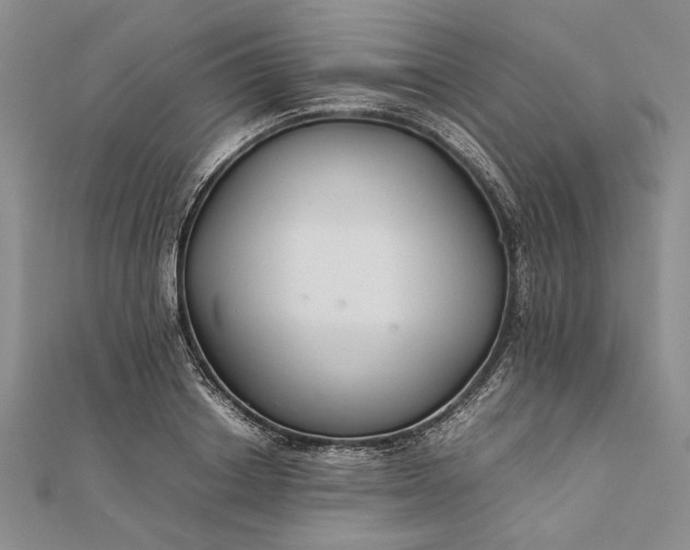 X0000111840842200908061252