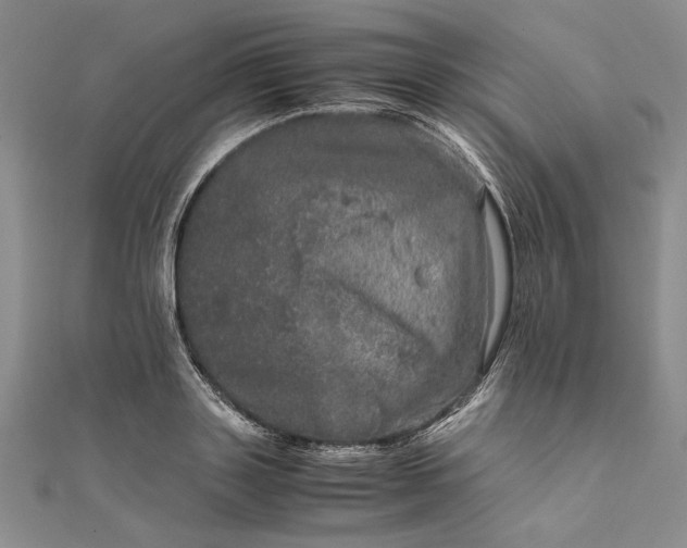 X0000111840843200908061252