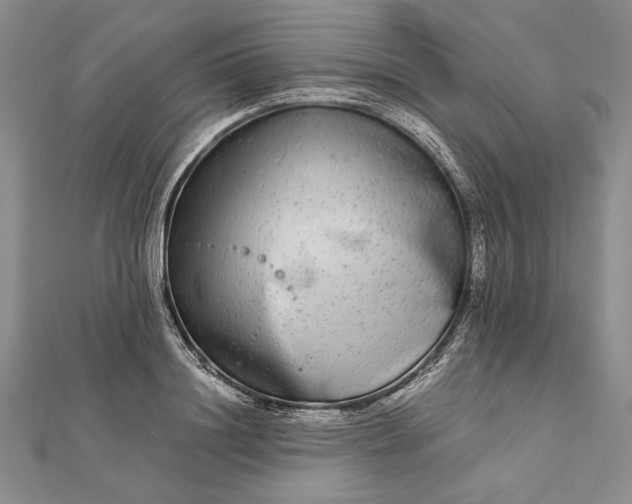 X0000111840844200908061252