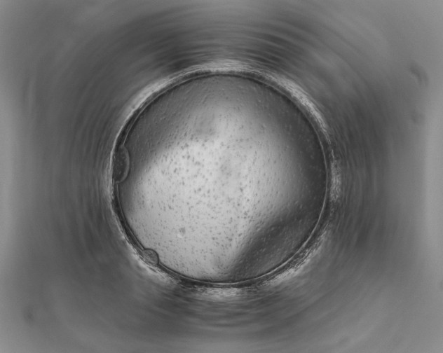 X0000111840845200908061252