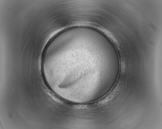 X0000111840846200908061252