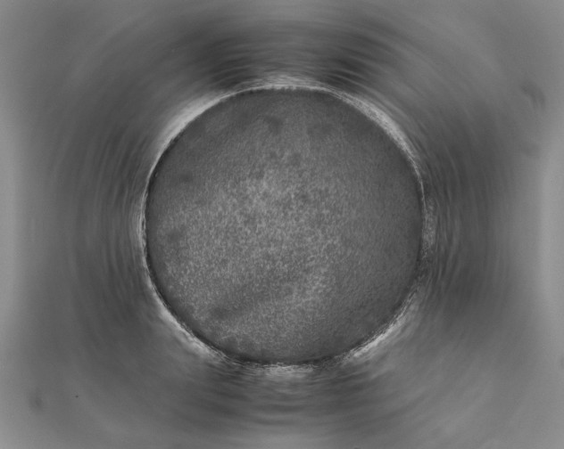 X0000111840847200908061252