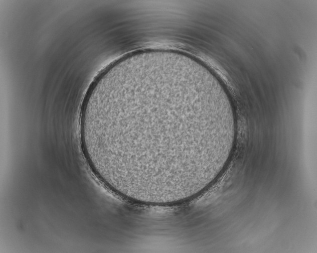 X0000111840848200908061252