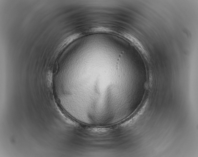 X0000111840849200908061252