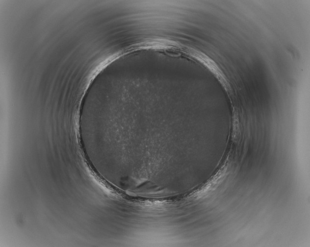 X0000111840850200908061252