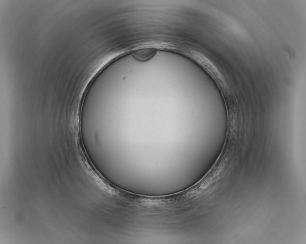 X0000111840852200908061252