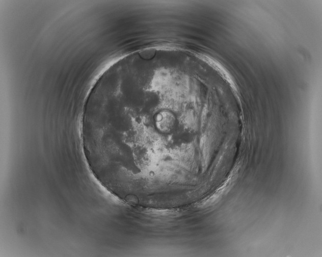 X0000111840855200908061252