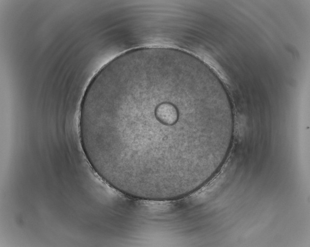 X0000111840856200908061252