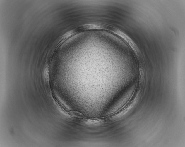 X0000111840857200908061252