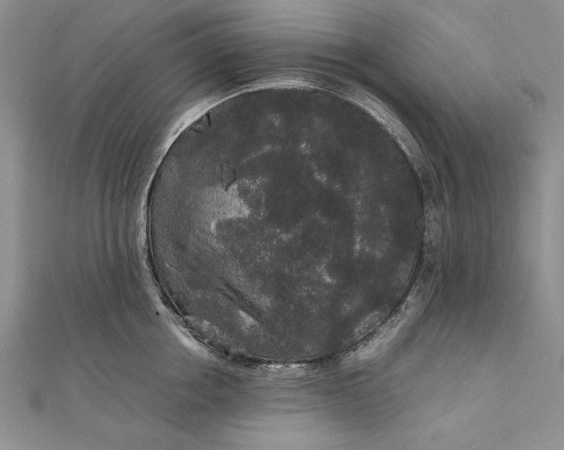 X0000111840858200908061252