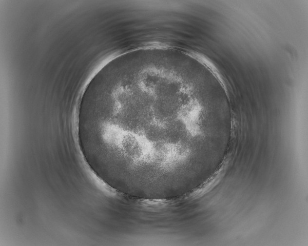 X0000111840859200908061252