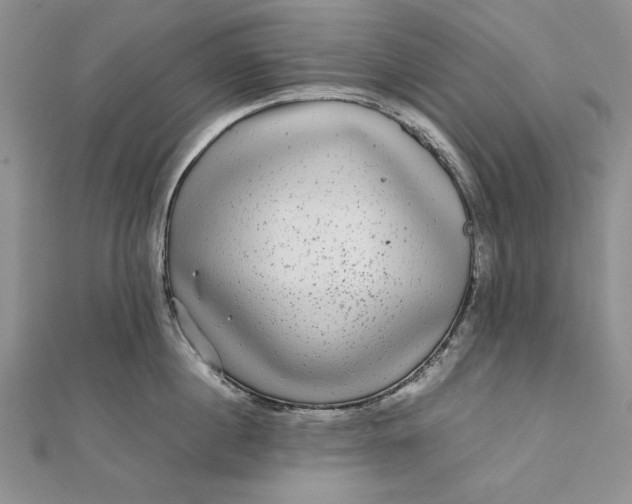 X0000111840860200908061252