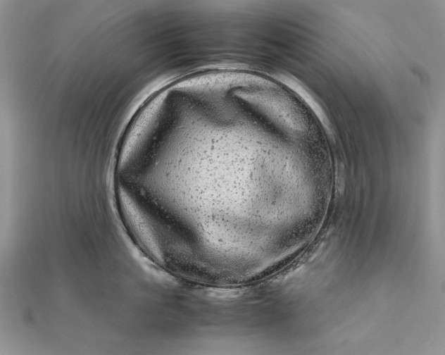 X0000111840861200908061252