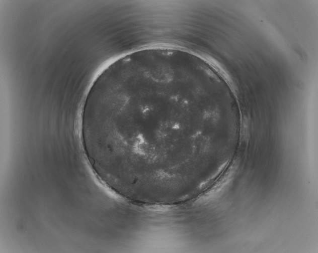 X0000111840862200908061252