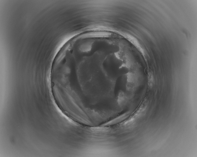 X0000111840863200908061252