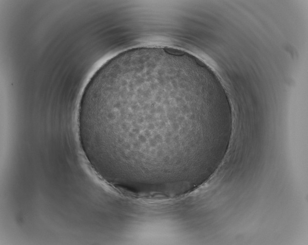 X0000111840864200908061252