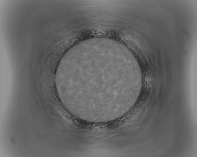 X0000111840865200908061251