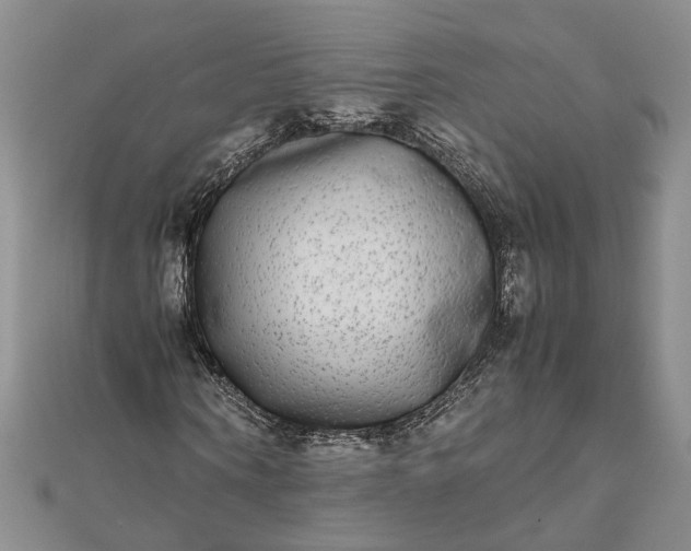 X0000111840866200908061251