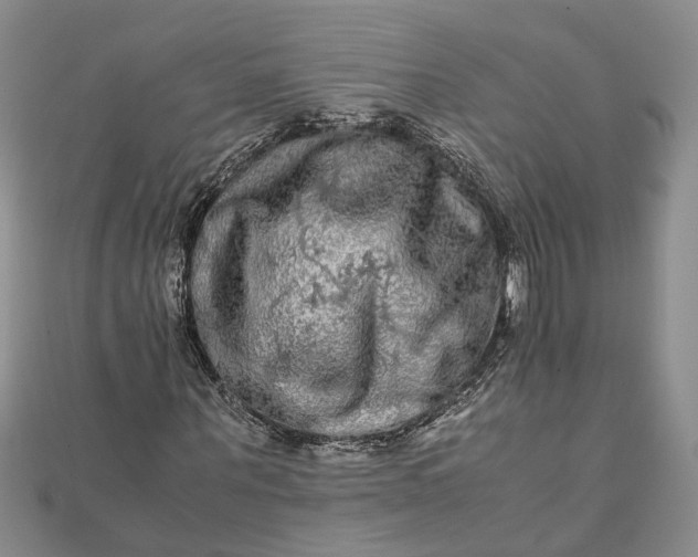 X0000111840867200908061251