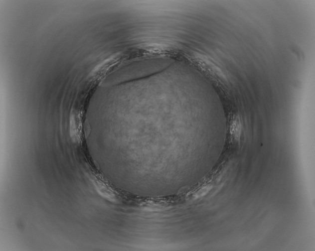 X0000111840868200908061251