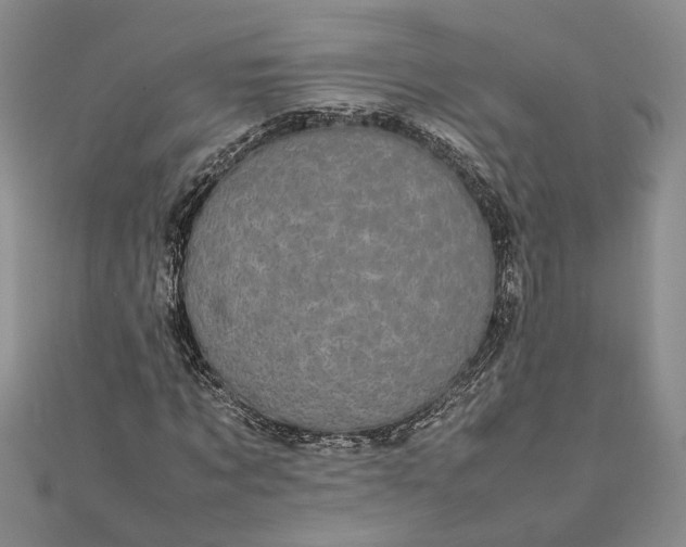 X0000111840869200908061251