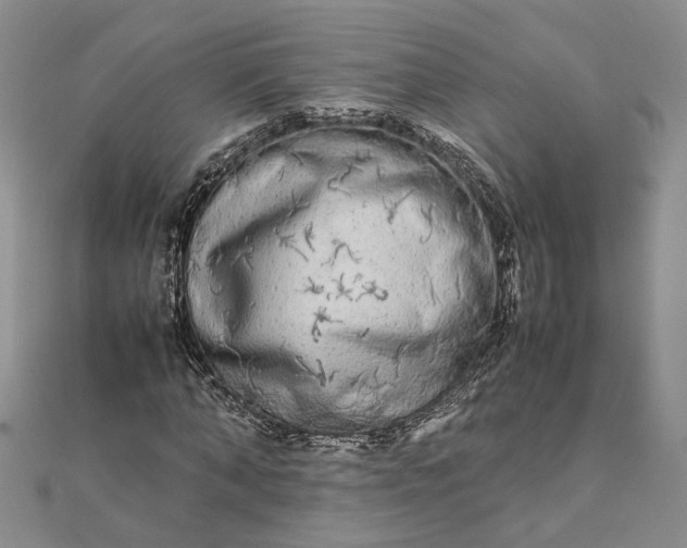 X0000111840870200908061251