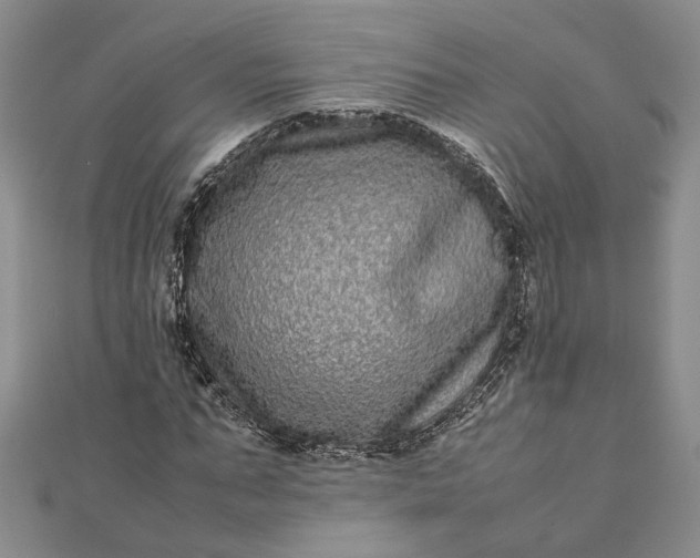 X0000111840871200908061251