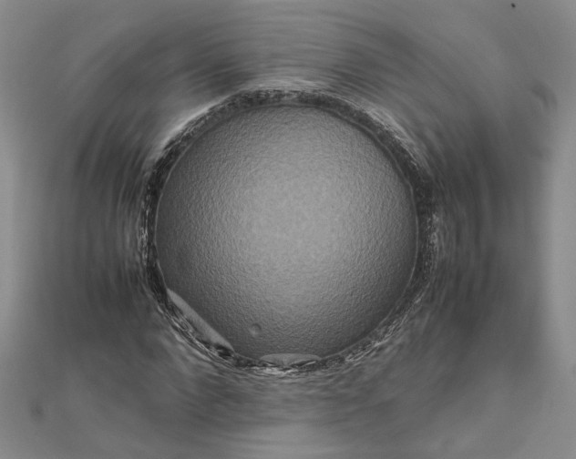 X0000111840872200908061251