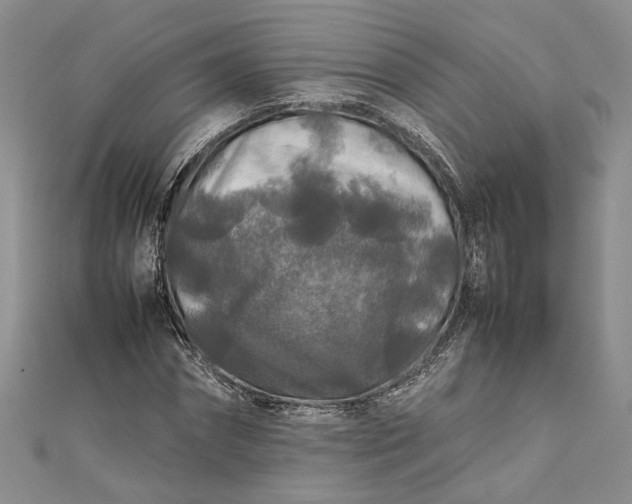 X0000111840874200908061251