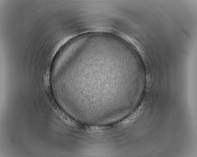 X0000111840875200908061251