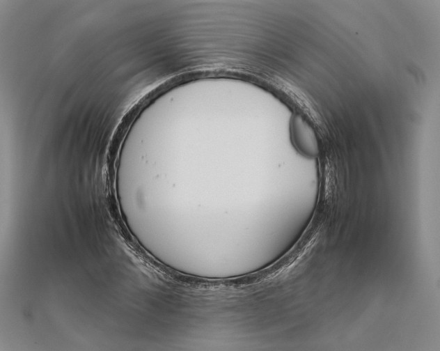 X0000111840876200908061251