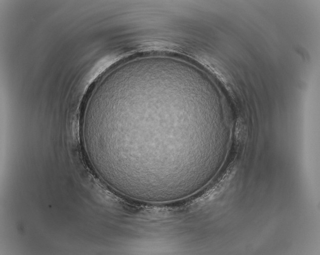 X0000111840877200908061251